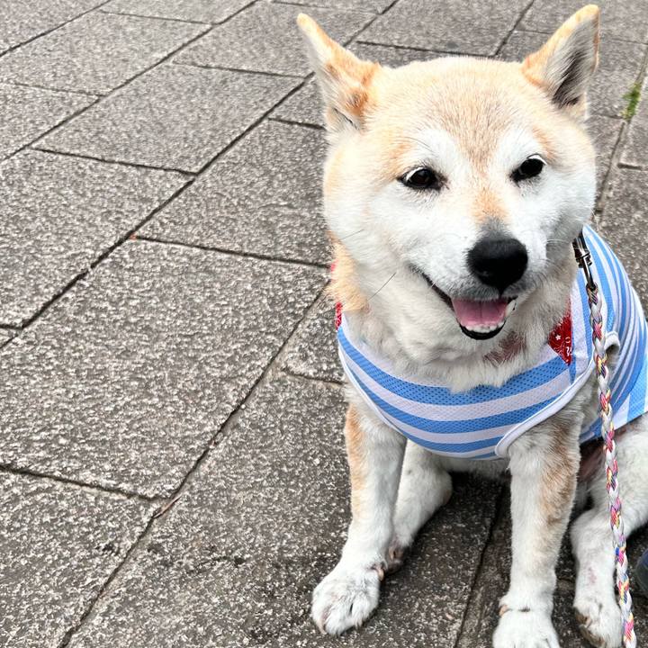 Db9de017 7c43 4519 b259 67727bad2670 1747379729773