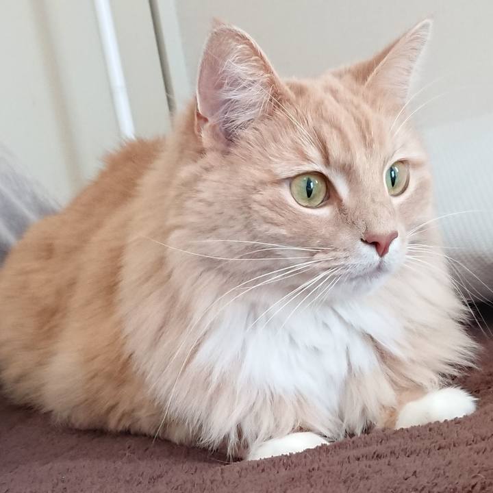 Db9e0d7a a9fb 4a81 ae60 3eb2dafa16aa 1518569928343