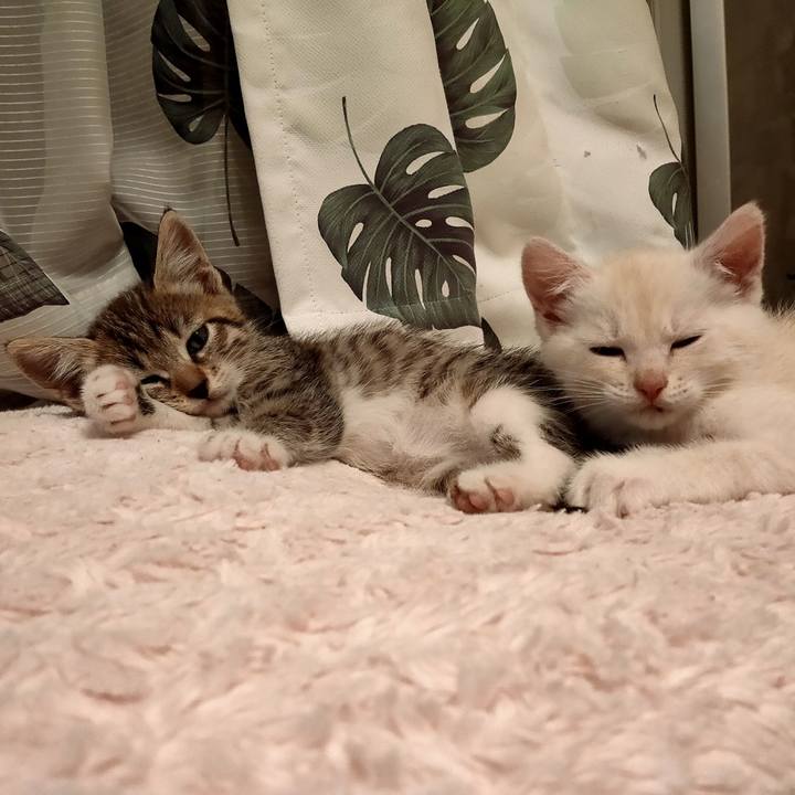 Db9e229b 8318 4ff7 8870 18ea3a7973e5 1623108656736