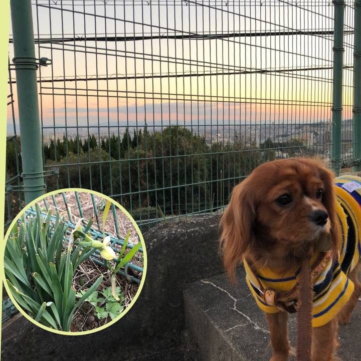 Db9e3ec4 5af6 43e8 878d 01a60a948d34 1547425546662