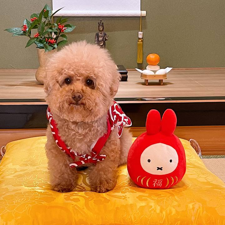 Db9e5163 3fc4 47c5 a45c 6dcd3789308b 1609475713181