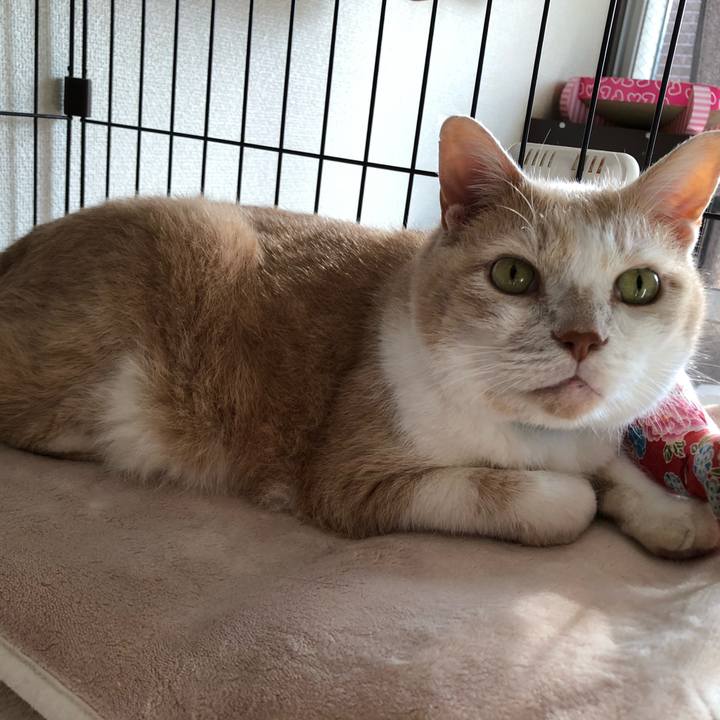 Db9e6d01 eb3c 4b49 95bd c444425439ce 1629758566426