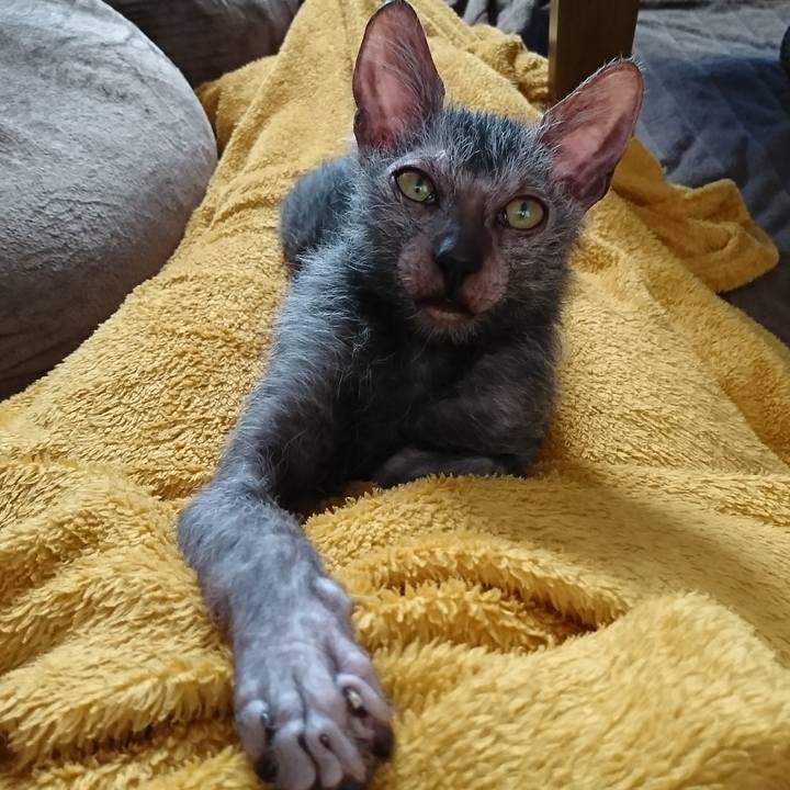 Db9eadb5 c04c 45a0 824f 07e283d32664 1517466406194