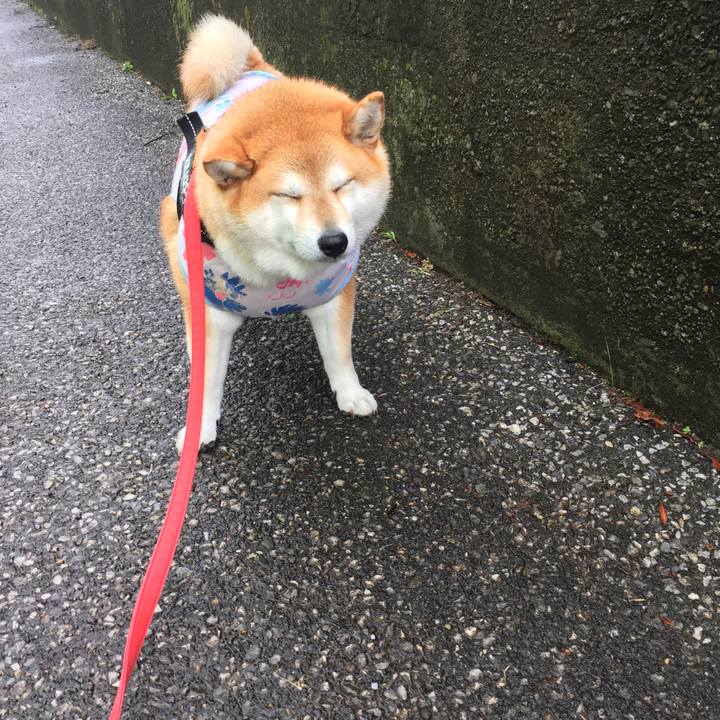 Db9eae17 cc8e 4f50 94cd 2dd27f6374c7 1594963223474