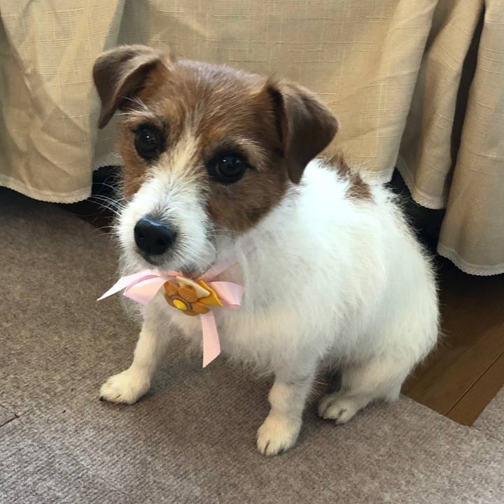 Db9ed41d ab6f 4b63 ab0e 22ad2b3f321d 1556800644394