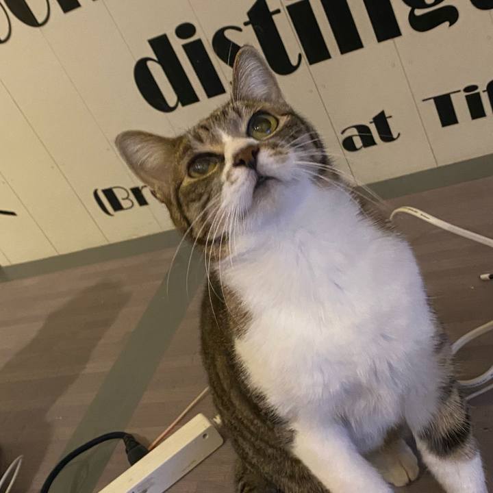 Db9ef41a 4fc9 4c60 ada4 02f3e276c6e2 1668785742881