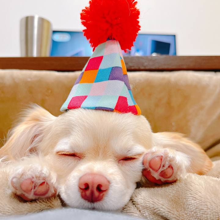 Db9f0644 b6cf 4da2 b28b bc2e0e33508e 1649077101483