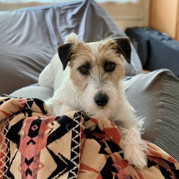 Db9f3faa f11a 4059 a414 bd76b08fff0e 1622291535467