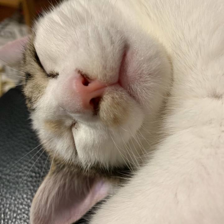 Db9f56b5 8155 4ebd 8fe0 c4b2905ac7ad 1598014619880