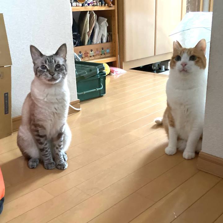 Db9f6ca1 0f10 4962 98af e8205c88d801 1759882005610