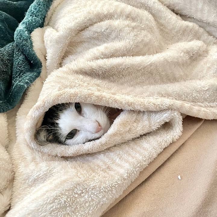 Db9f7220 dce0 4998 92a4 6176279705b9 1712236157423