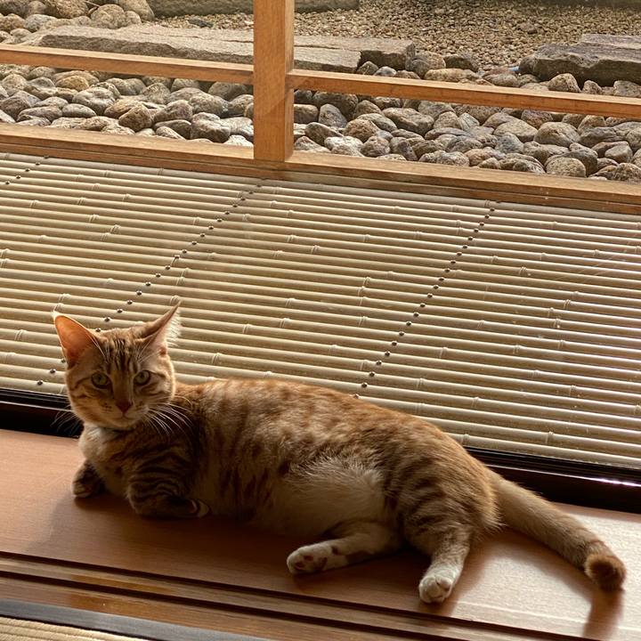 Db9f8e8c 7995 4b37 b3ae 3704c8fa543d 1637624762478