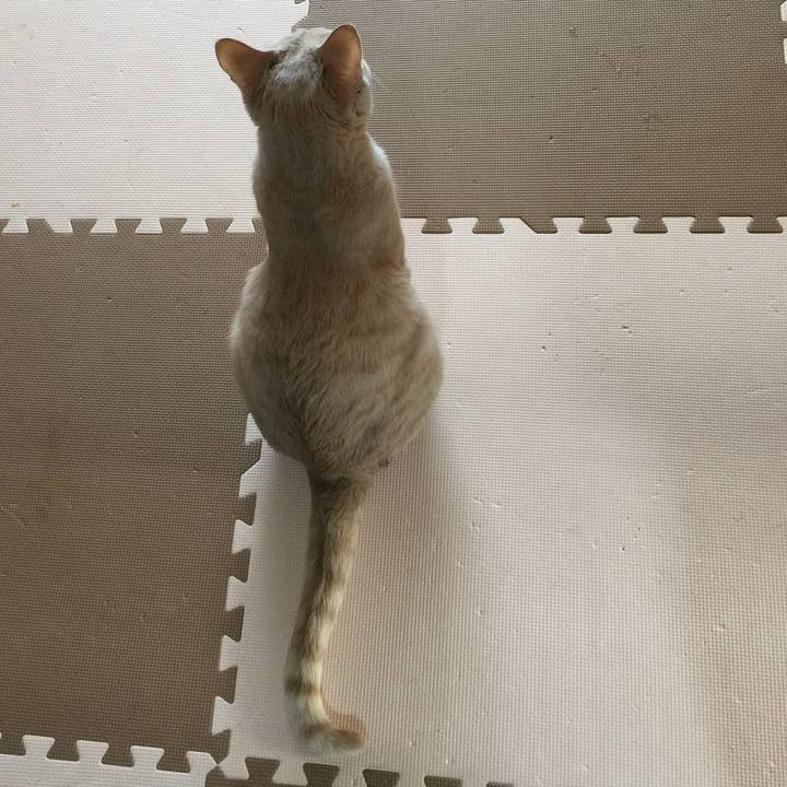 Db9fa62b 989a 4e39 8c12 5410ce981e41 1543716219446