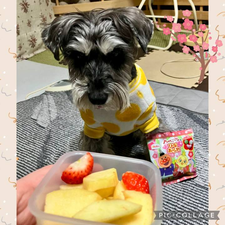 Db9fb812 e9ac 43f9 b268 a2cfe8f4c525 1772545182092