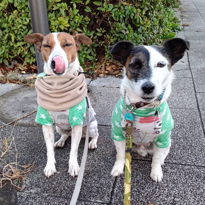 Db9fc9bb 0598 4009 b077 7e4d9d67a5eb 1669070498072