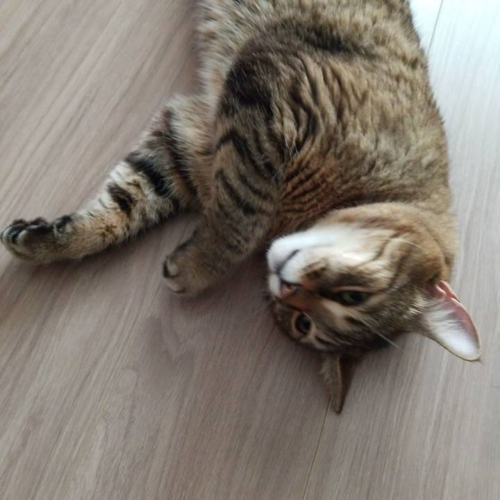 Db9fcee9 07a7 4940 88d6 f88d7ba9df90 1586295640098