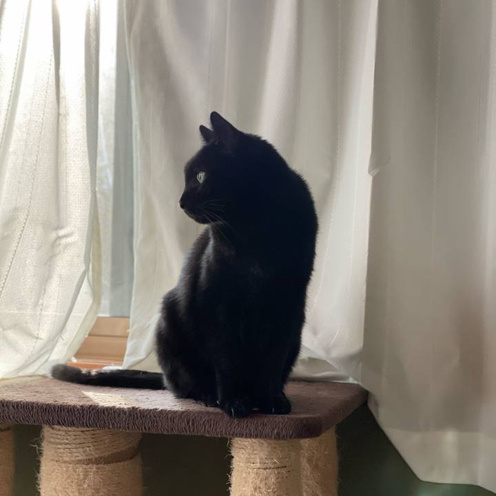 Db9fcf58 51ce 44be 924b 34a5083cf7ac 1639620613533