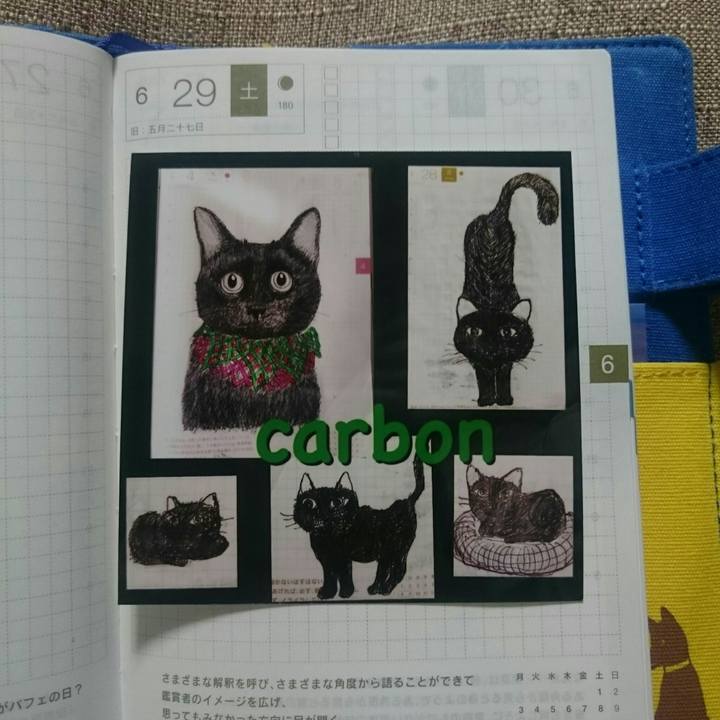 Db9fd1d8 7c59 4268 a23d 19bb8f29a20f 1561857353286