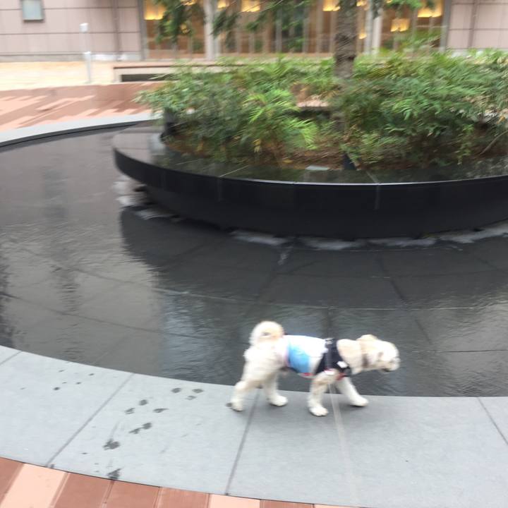 Db9fd9ce 2827 441a 944f 4b3f14a10df5 1529582189286