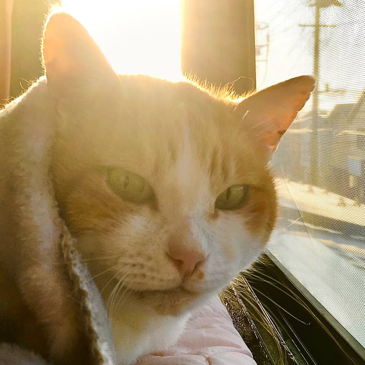 Db9fe1b0 0c01 4808 a87e 59fbdca82b67 1611871917687