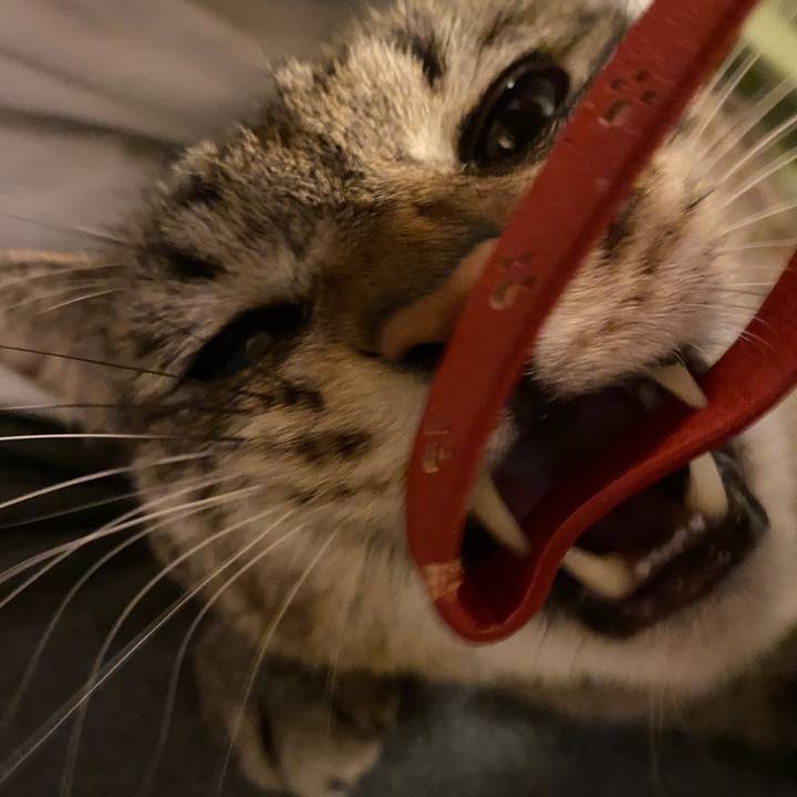 Db9fe43a 907d 470b 81db b9e44bc348d4 1584272612827