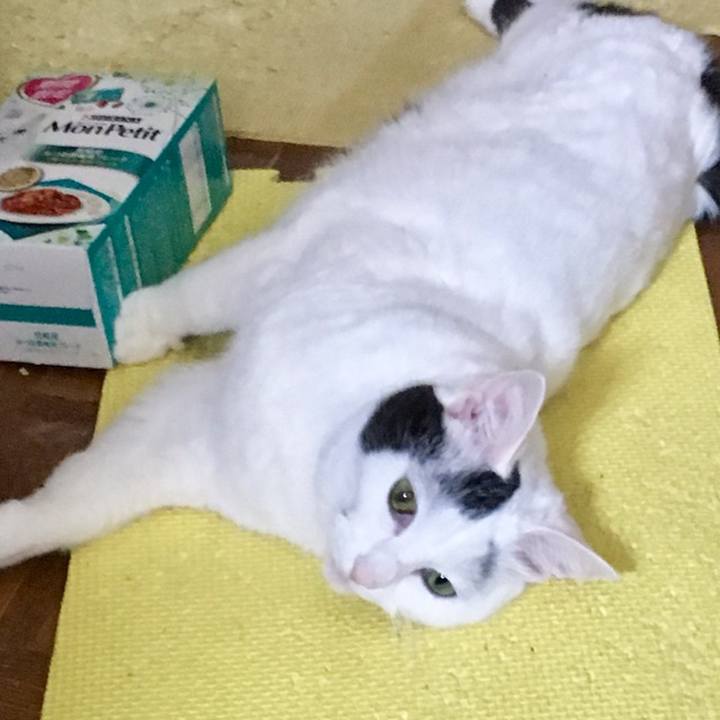 Db9ff914 fa68 4318 8284 3af2a00b31f1 1559702981855