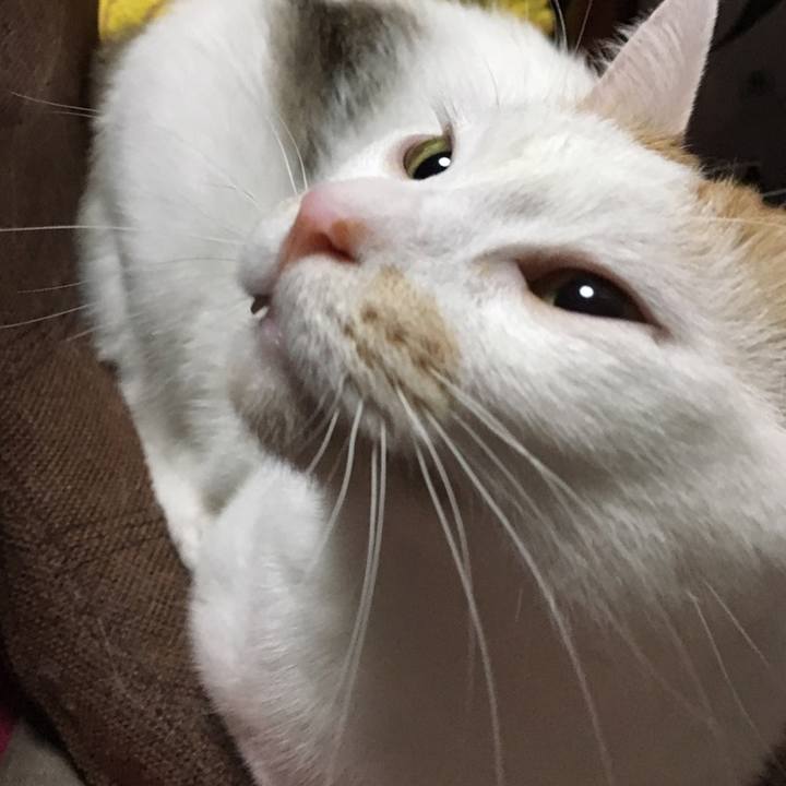 Db9ffef2 9569 4ae5 8fed f2450aef0be7 1560047263576