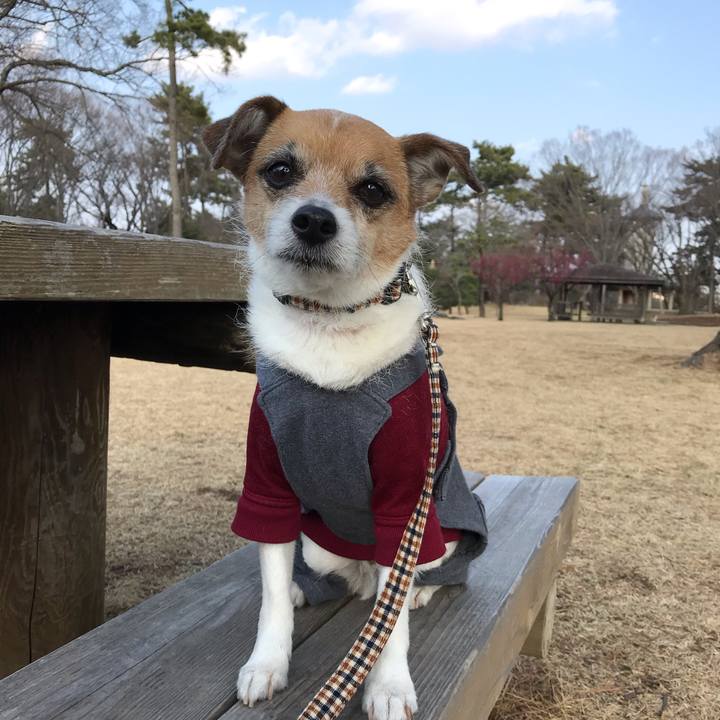 Dba001af d005 4d51 b799 16d6678f5e1a 1551431203458