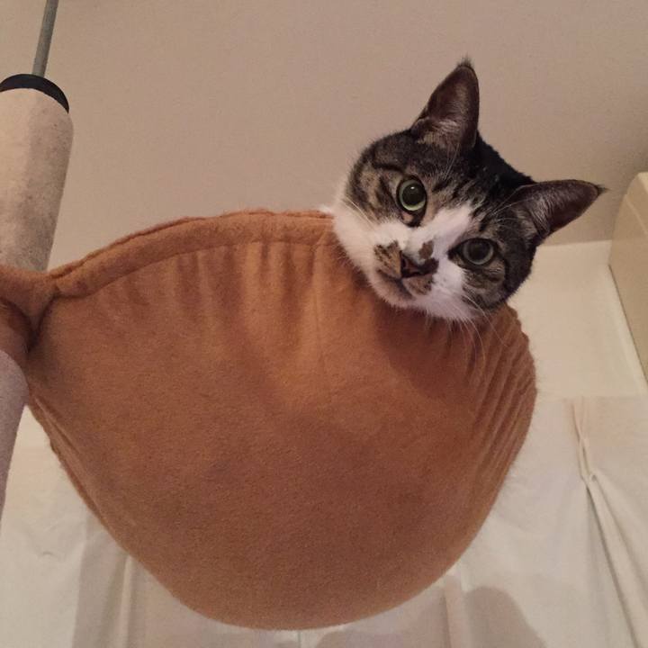 Dba01256 dd33 4cd7 8a0b 383bbd7cbf4a 1508639981716