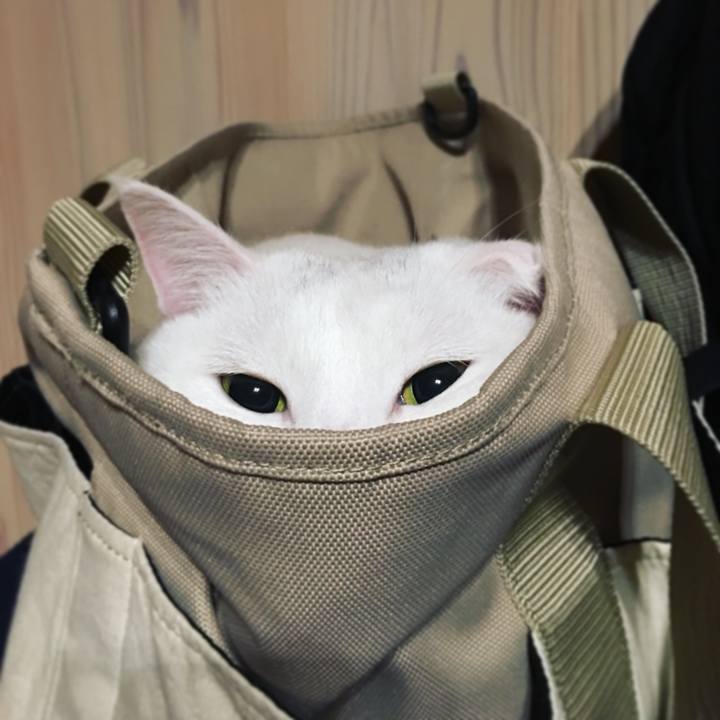 Dba04bdb ff7e 48e2 81c9 d9863ab36566 1552060152076