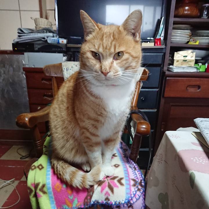 Dba052e6 530a 469c 8330 6aac08e0807b 1578201502457