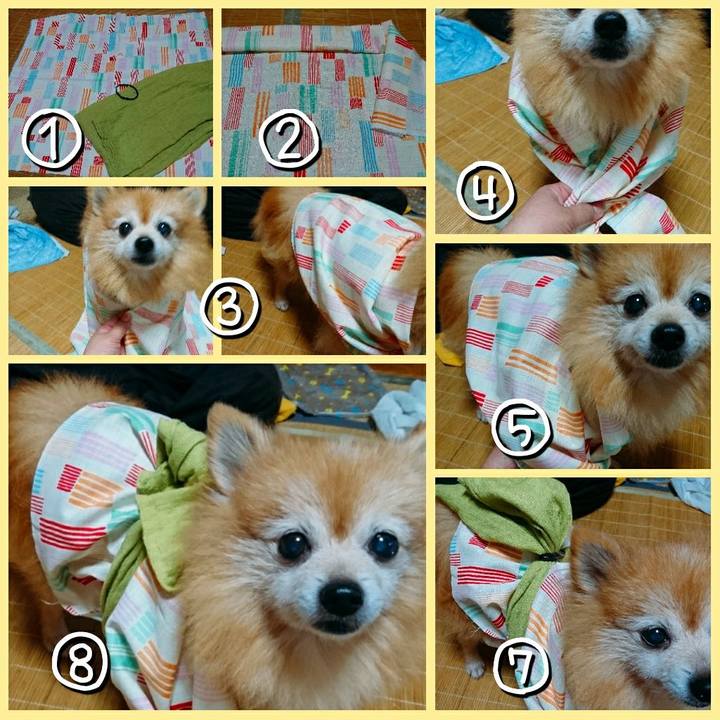 Dba0b2f8 0701 47a2 8f2f 738dece1090b 1566048233809