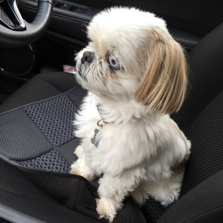 Dba0bb83 f1a5 42be 88f0 52611d8f2a98 1589593427247