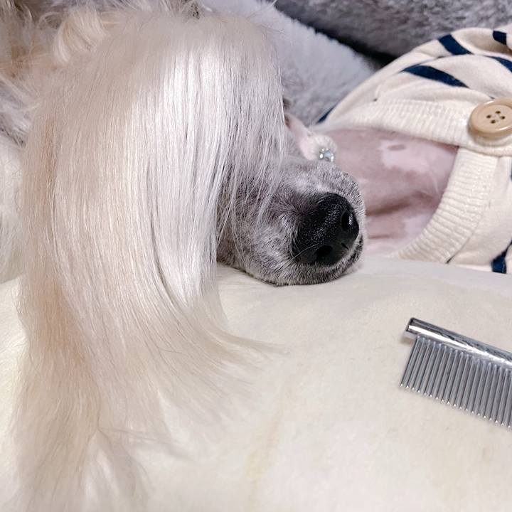 Dba0e0a9 068b 4d6f 935a b6498d88b14d 1762937271887