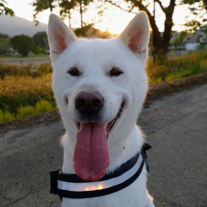 Dba0f1cf baca 4b98 85eb d21355962e3c 1653819694459