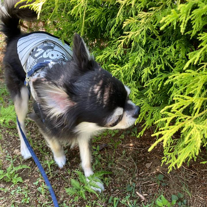 Dba13bee 22f9 412d 997b 9d399af403d0 1685203170426