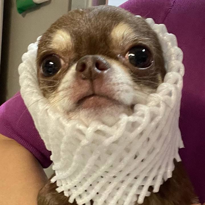 Dba158c2 a0d6 4935 b808 67d0740cd007 1664014637736