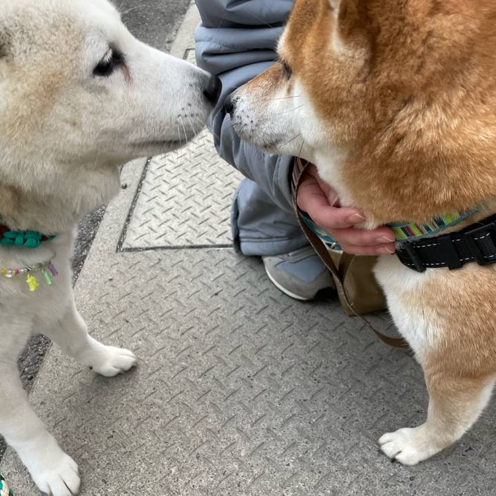 Dba15aa9 5bd5 4e04 9bdf 5b6a879a8089 1674035177376