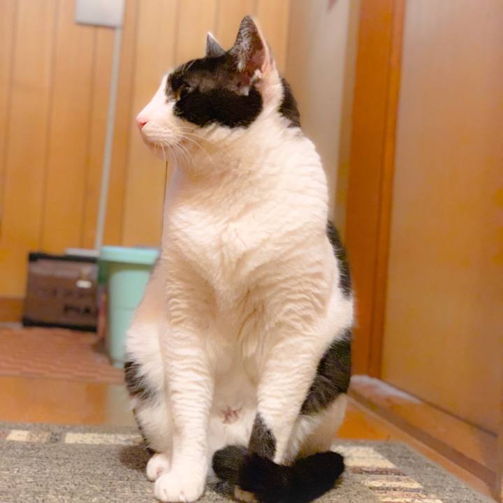 Dba16aab 1d84 434c 9818 2ec69f2400a7 1561687898709