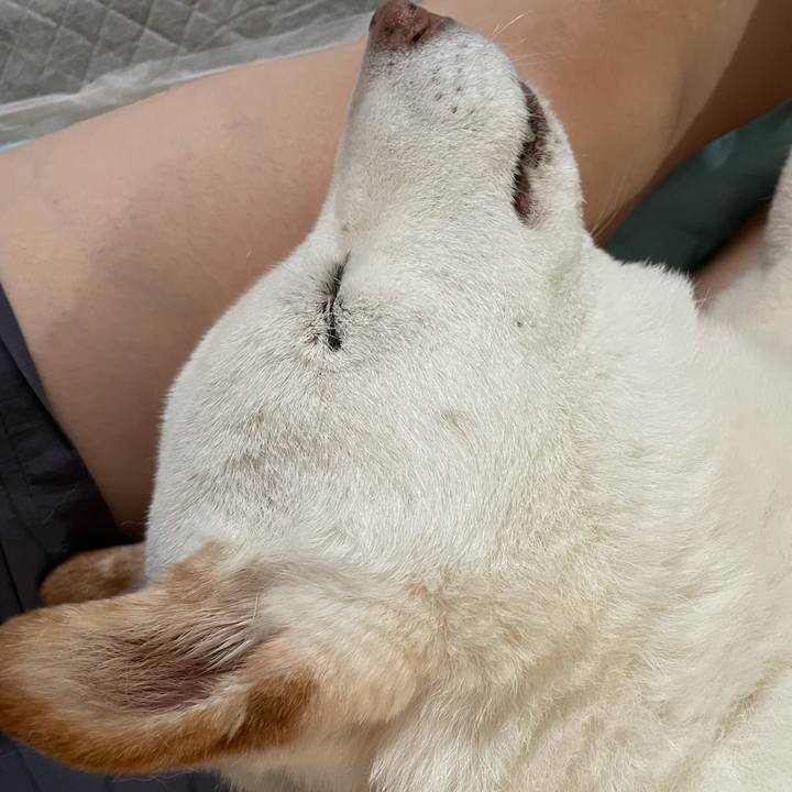 Dba1a220 3729 4157 a312 b80ca373e0c9 1634262893039