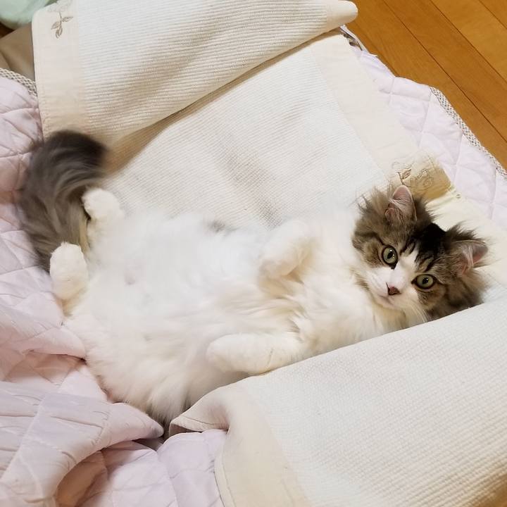 Dba1a345 a16d 48f1 a719 dc458d415873 1555850927579