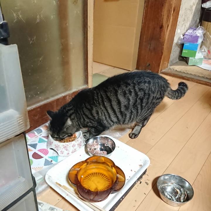 Dba1ed32 1e06 4e2f 9eaa fd6dcd51b884 1631624805139