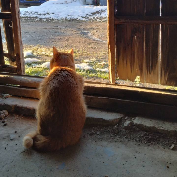 Dba20634 34de 440e 9949 13b4be0894aa 1679177555183