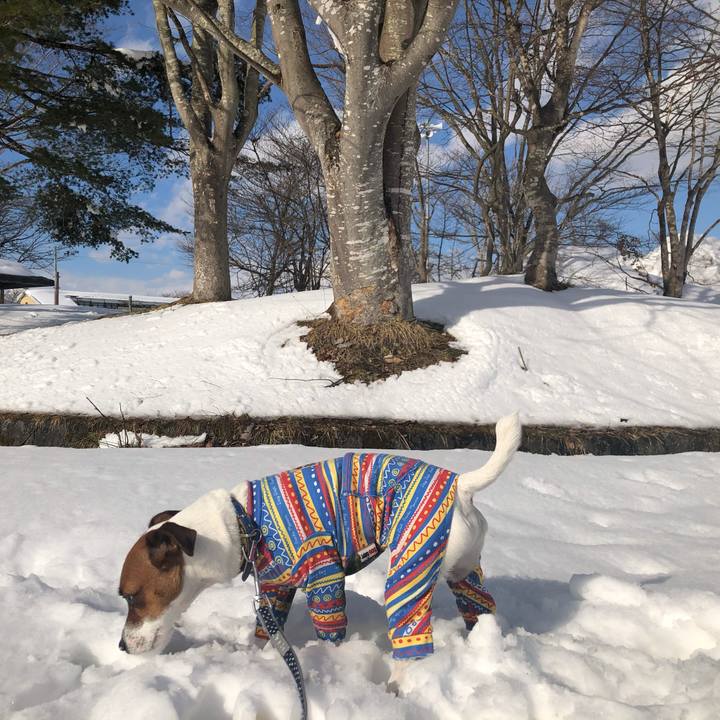 Dba24bdf 199f 42db 9566 e5251598a43a 1633494385856