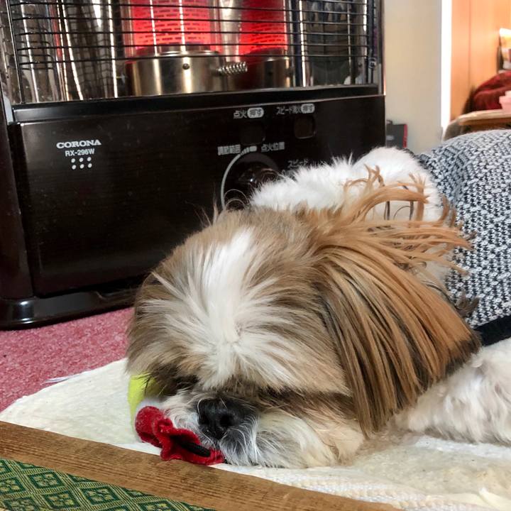 Dba25d32 c214 4676 a6da e061d961a584 1575166278562