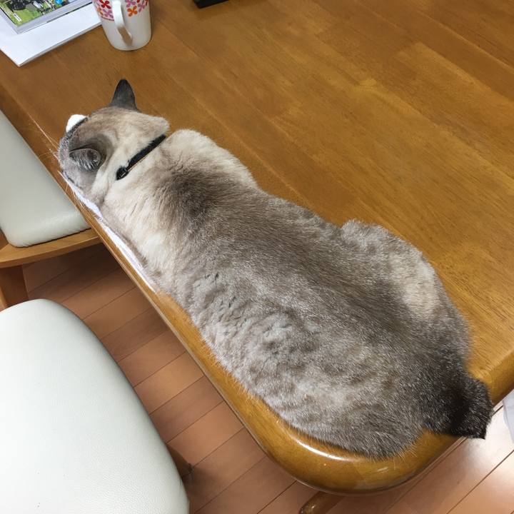 Dba2a67c dfc4 44a3 9482 0964316655d2 1525073243537