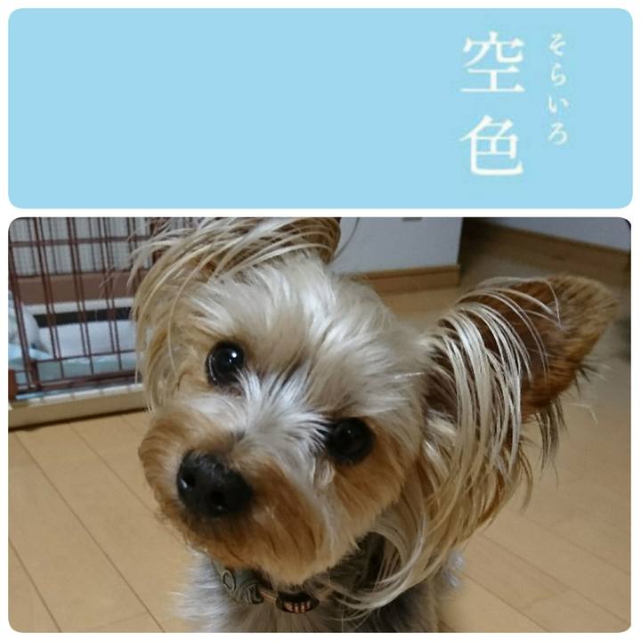 Dba2b5ad 4e6a 4b9a ae3e a1513bb0817a 1530659045101