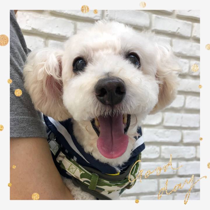 Dba2bab4 8ceb 4922 9ab7 ccccf96dc38e 1560932867065