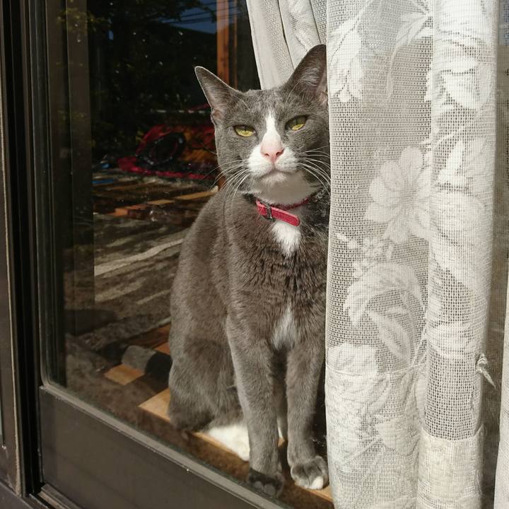 Dba2bad4 3bbb 478a acd9 3174f6421a59 1510451180377