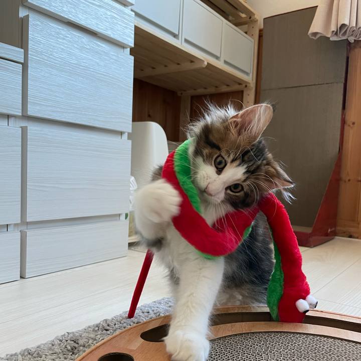 Dba2d0be 5089 47c2 adc7 440750f07a1c 1632349751144